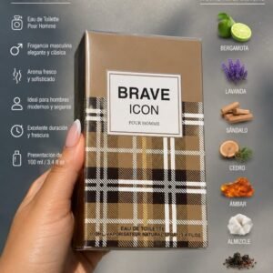 Brave Icon
